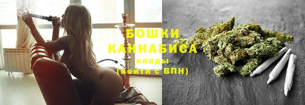 гидра Кинешма