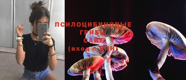 гидра Кинешма