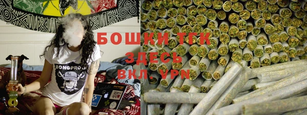 гидра Кинешма
