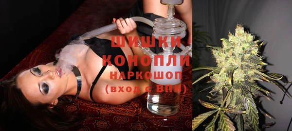 гидра Кинешма