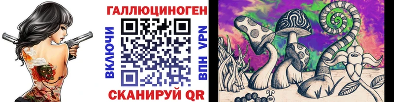 Купить  Новотитаровская  Псилоцибиновые грибы Magic Shrooms 